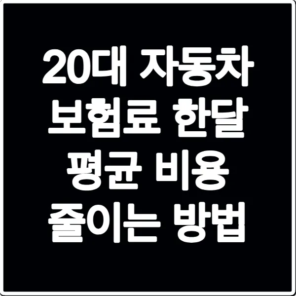 20대 자동차 보험료 한달 평균 비용 줄이는 방법