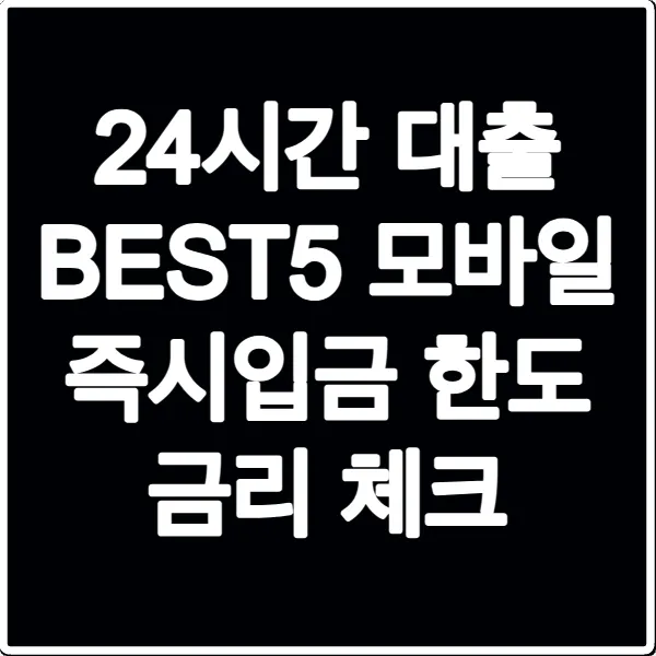 24시간 대출 BEST5 모바일 즉시입금 한도 금리 체크