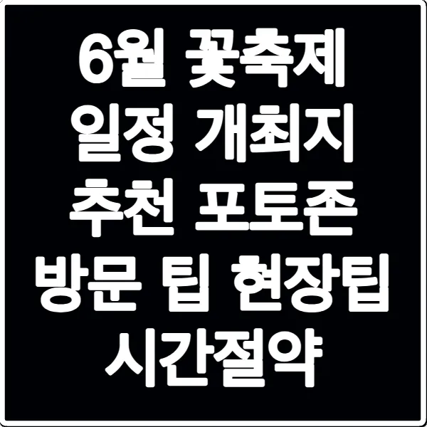 6월 꽃축제 일정 개최지 추천 포토존 방문 팁 현장팁 시간절약