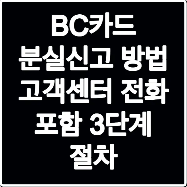 BC카드 분실신고 방법 고객센터 전화 포함 3단계 절차