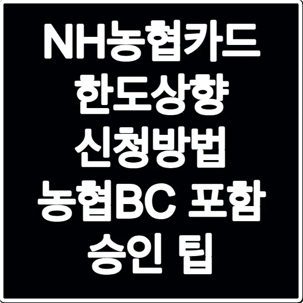 NH농협카드 한도상향 신청방법 농협BC 포함 승인 팁
