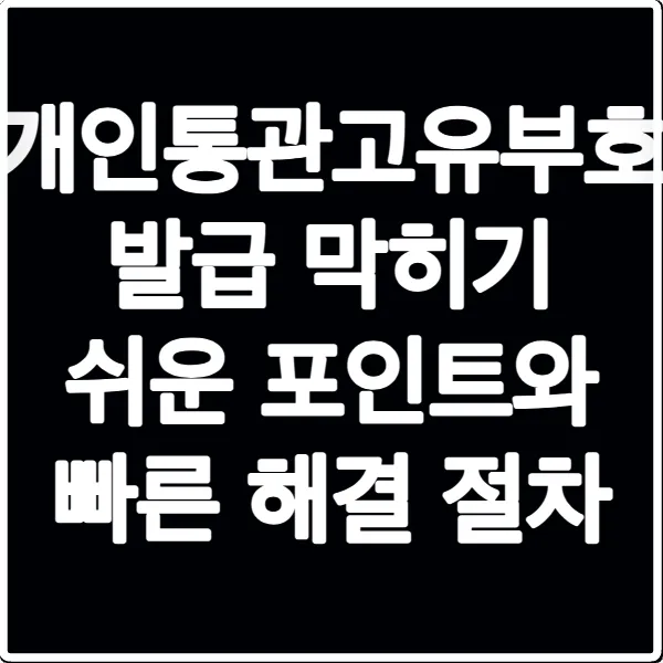 개인통관고유부호 발급 막히기 쉬운 포인트와 빠른 해결 절차