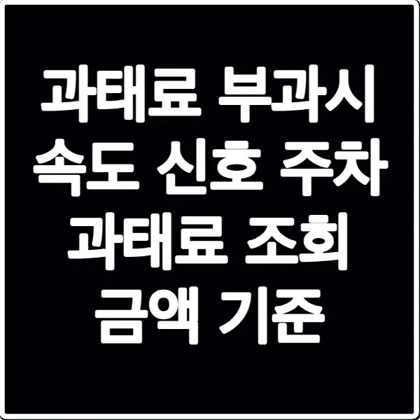 과태료 부과시 속도 신호 주차 과태료 조회 금액 기준