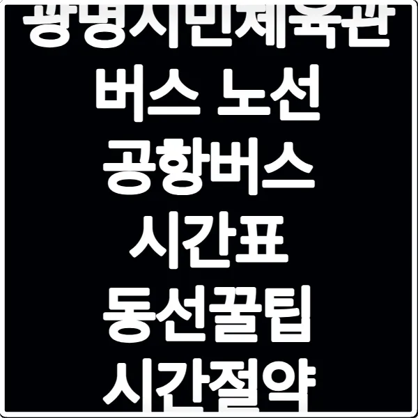 광명시민체육관 버스 노선 공항버스 시간표 동선꿀팁 시간절약