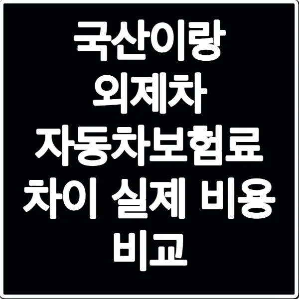 국산이랑 외제차 자동차보험료 차이 실제 비용 비교