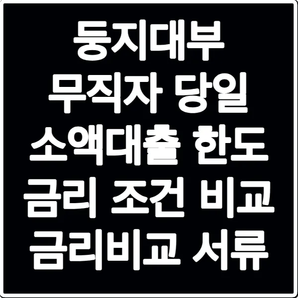 둥지대부 무직자 당일 소액대출 한도 금리 조건 비교 금리비교 서류