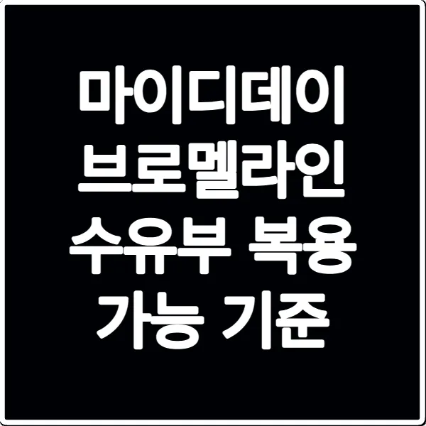 마이디데이 브로멜라인 수유부 복용 가능 기준