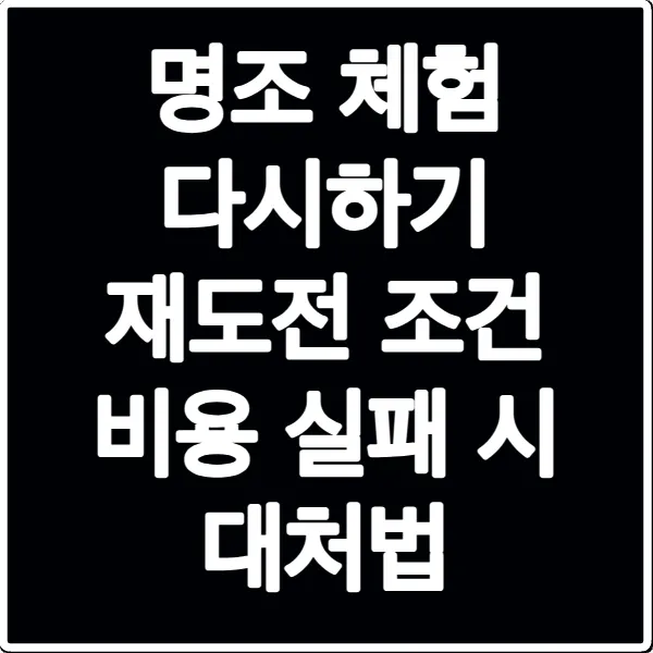 명조 체험 다시하기 재도전 조건 비용 실패 시 대처법