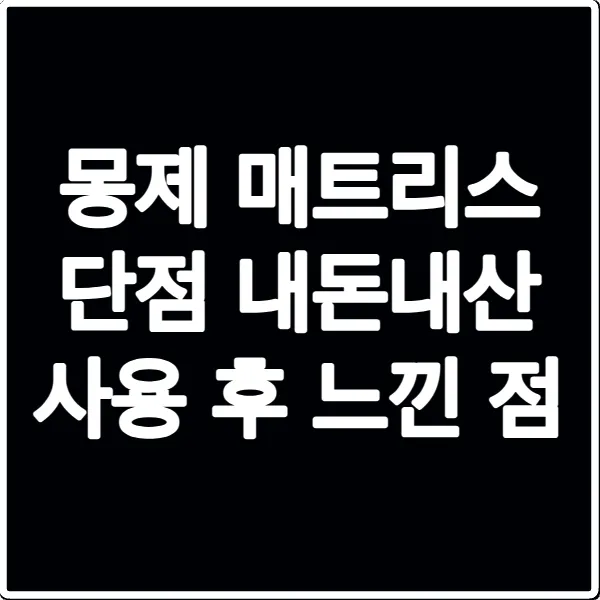 몽제 매트리스 단점 내돈내산 사용 후 느낀 점