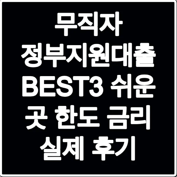 무직자 정부지원대출 BEST3 쉬운 곳 한도 금리 실제 후기