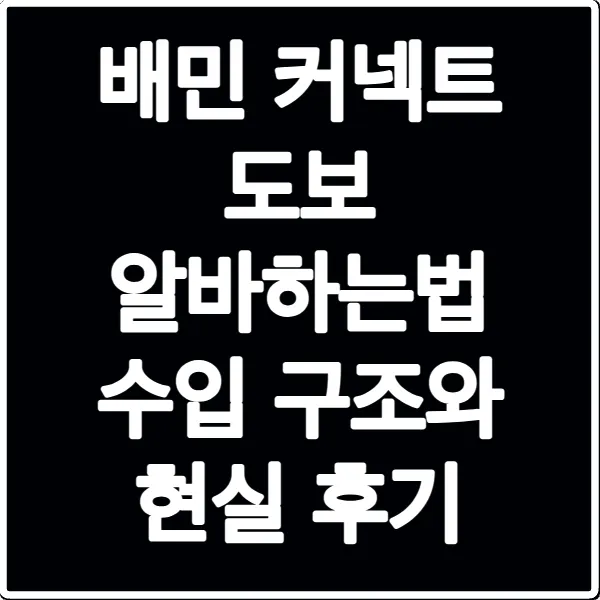 배민 커넥트 도보 알바하는법 수입 구조와 현실 후기