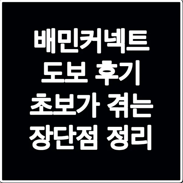 배민커넥트 도보 후기 초보가 겪는 장단점 정리