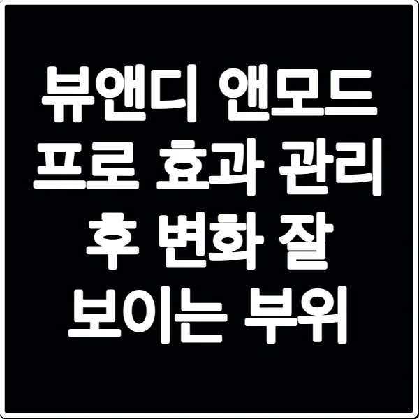 뷰앤디 앤모드 프로 효과 관리 후 변화 잘 보이는 부위