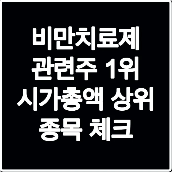 비만치료제 관련주 1위 시가총액 상위 종목 체크