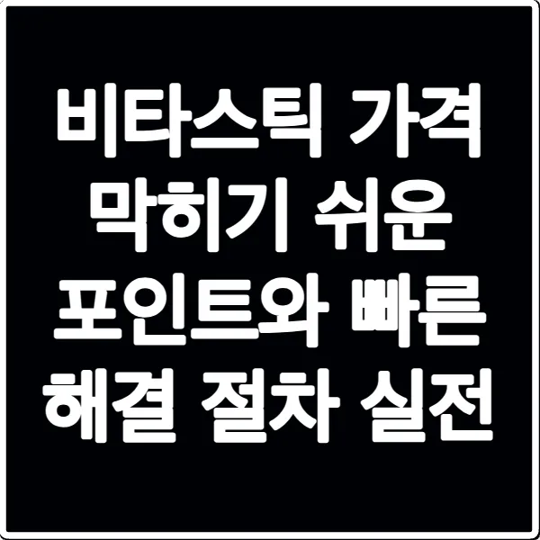 비타스틱 가격 막히기 쉬운 포인트와 빠른 해결 절차 실전