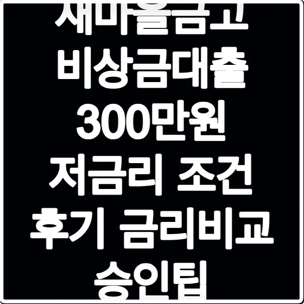 새마을금고 비상금대출 300만원 저금리 조건 후기 금리비교 승인팁