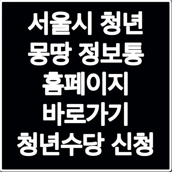 서울시 청년 몽땅 정보통 홈페이지 바로가기 청년수당 신청