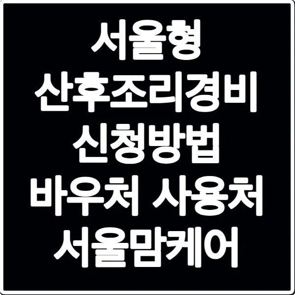 서울형 산후조리경비 신청방법 바우처 사용처 서울맘케어