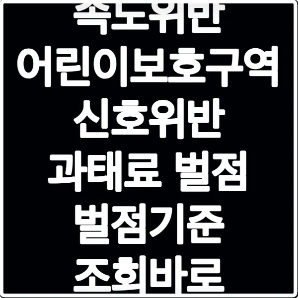 속도위반 어린이보호구역 신호위반 과태료 벌점 벌점기준 조회바로
