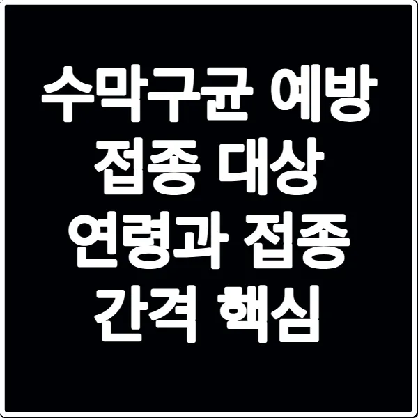 수막구균 예방 접종 대상 연령과 접종 간격 핵심