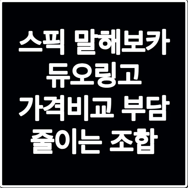 스픽 말해보카 듀오링고 가격비교 부담 줄이는 조합