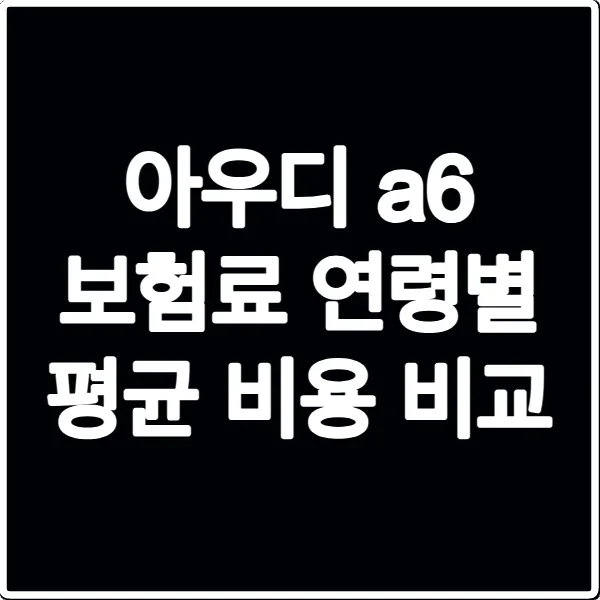 아우디 a6 보험료 연령별 평균 비용 비교