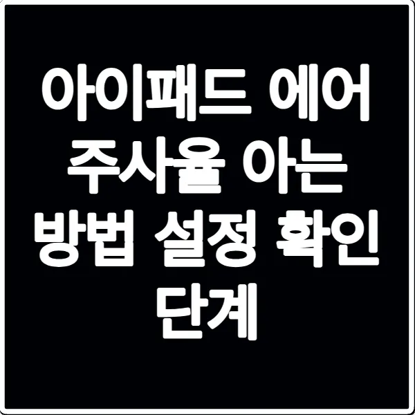 아이패드 에어 주사율 아는 방법 설정 확인 단계