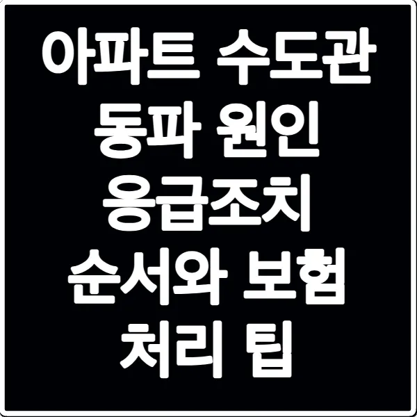 아파트 수도관 동파 원인 응급조치 순서와 보험 처리 팁
