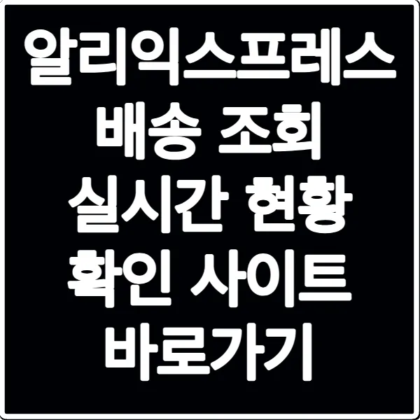 알리익스프레스 배송 조회 실시간 현황 확인 사이트 바로가기
