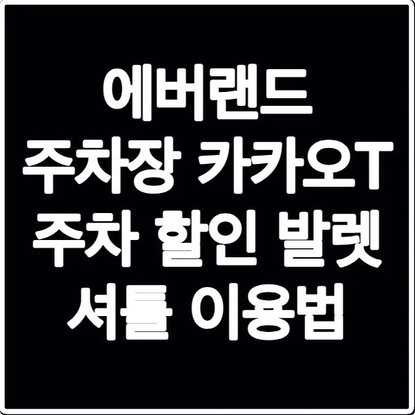 에버랜드 주차장 카카오T 주차 할인 발렛 셔틀 이용법