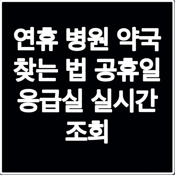 연휴 병원 약국 찾는 법 공휴일 응급실 실시간 조회