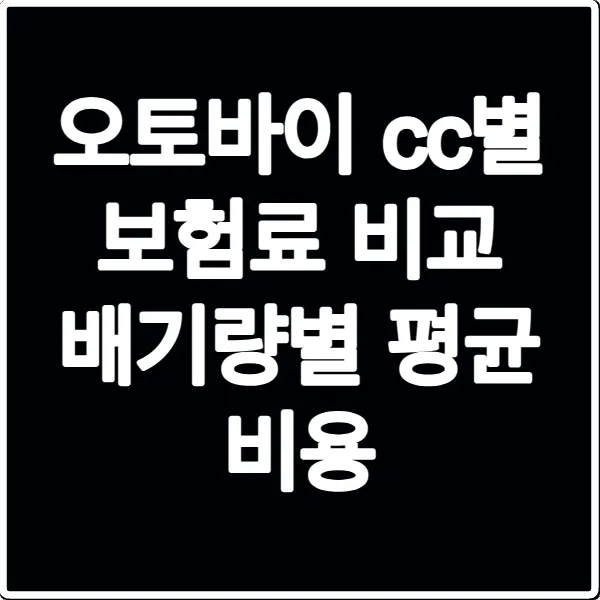 오토바이 cc별 보험료 비교 배기량별 평균 비용