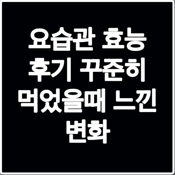 요습관 효능 후기 꾸준히 먹었을때 느낀 변화