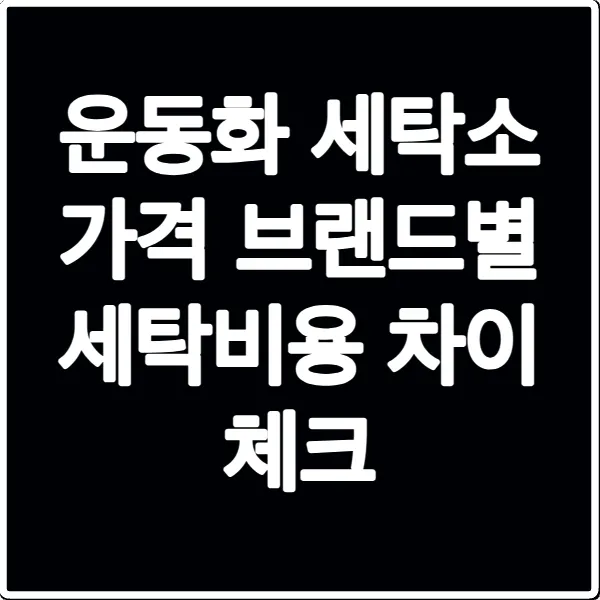 운동화 세탁소 가격 브랜드별 세탁비용 차이 체크