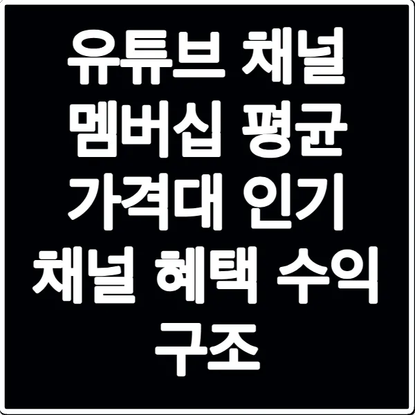 유튜브 채널 멤버십 평균 가격대 인기 채널 혜택 수익 구조