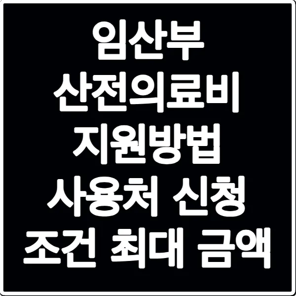 임산부 산전의료비 지원방법 사용처 신청 조건 최대 금액