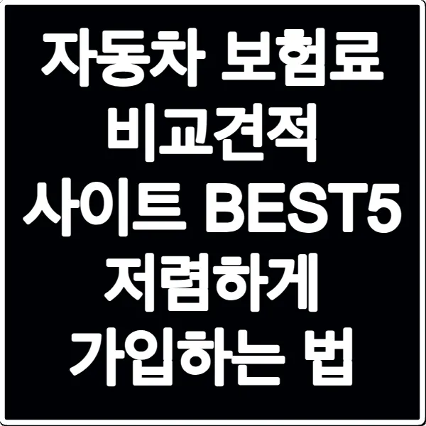 자동차 보험료 비교견적 사이트 BEST5 저렴하게 가입하는 법