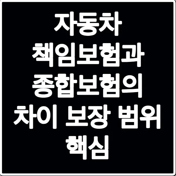 자동차 책임보험과 종합보험의 차이 보장 범위 핵심