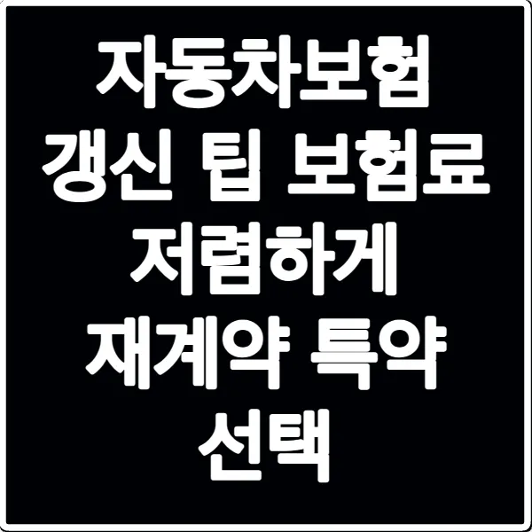 자동차보험 갱신 팁 보험료 저렴하게 재계약 특약 선택