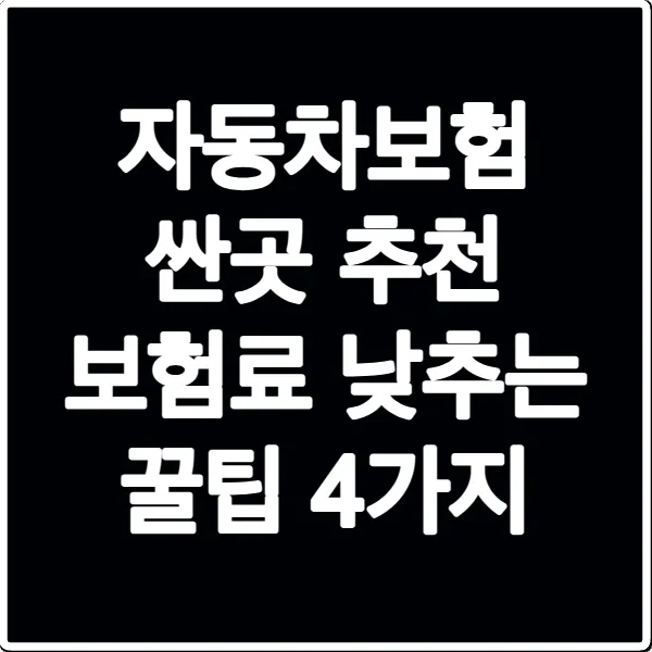자동차보험 싼곳 추천 보험료 낮추는 꿀팁 4가지
