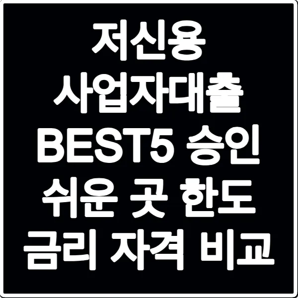 저신용 사업자대출 BEST5 승인 쉬운 곳 한도 금리 자격 비교
