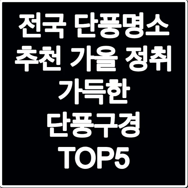 전국 단풍명소 추천 가을 정취 가득한 단풍구경 TOP5