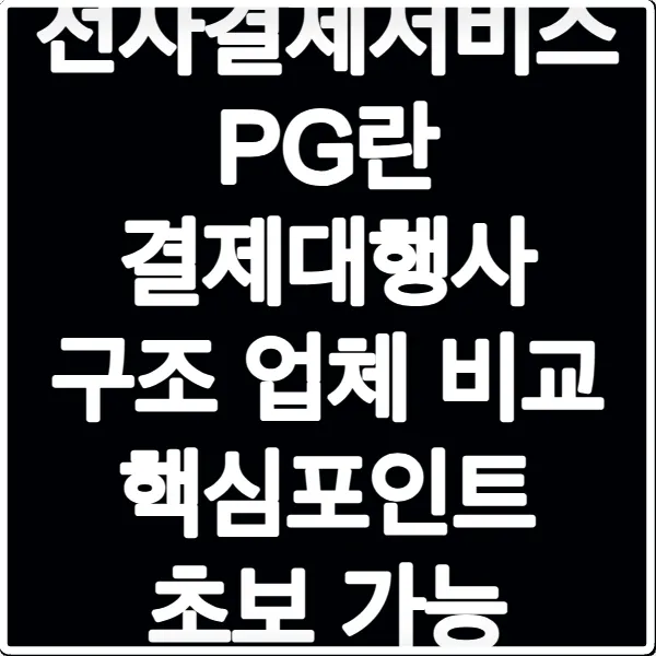 전자결제서비스 PG란 결제대행사 구조 업체 비교 핵심포인트 초보 가능