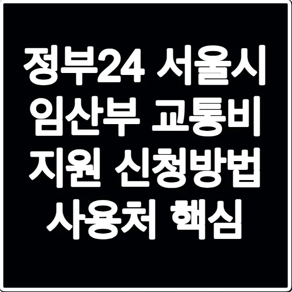 정부24 서울시 임산부 교통비 지원 신청방법 사용처 핵심