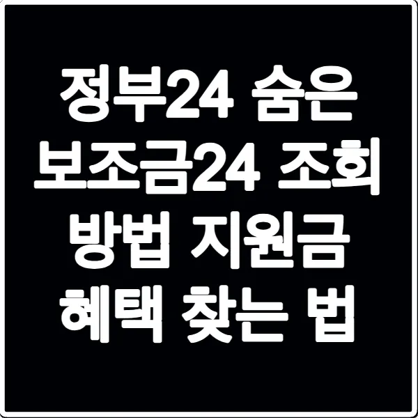 정부24 숨은 보조금24 조회 방법 지원금 혜택 찾는 법