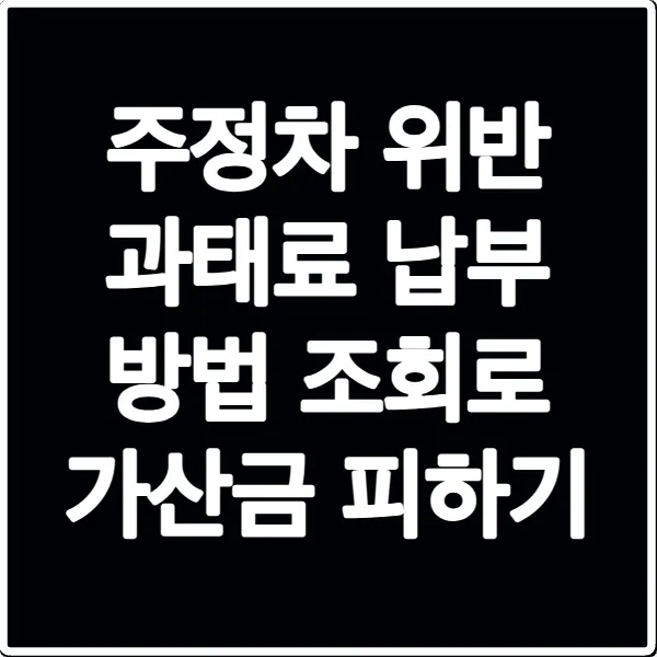 주정차 위반 과태료 납부 방법 조회로 가산금 피하기