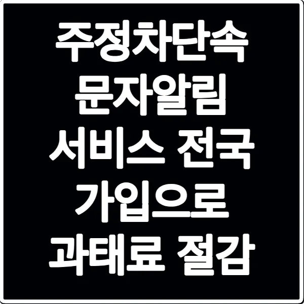 주정차단속 문자알림 서비스 전국 가입으로 과태료 절감