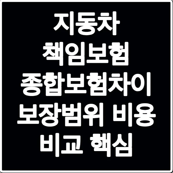 지동차 책임보험 종합보험차이 보장범위 비용 비교 핵심