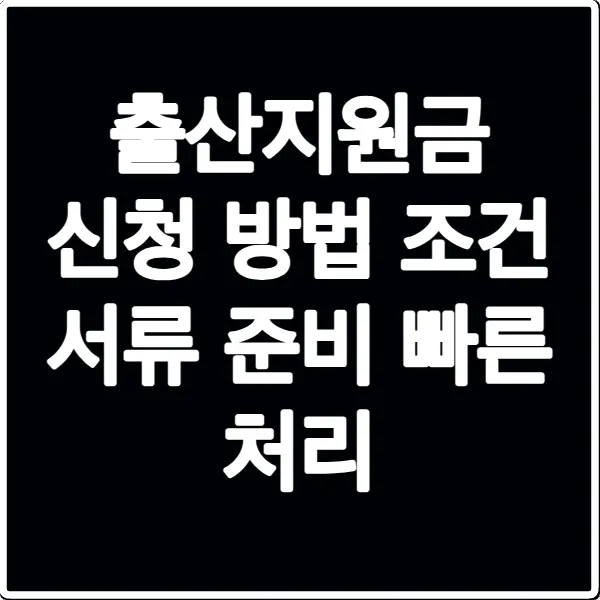 출산지원금 신청 방법 조건 서류 준비 빠른 처리