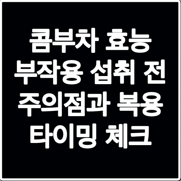 콤부차 효능 부작용 섭취 전 주의점과 복용 타이밍 체크
